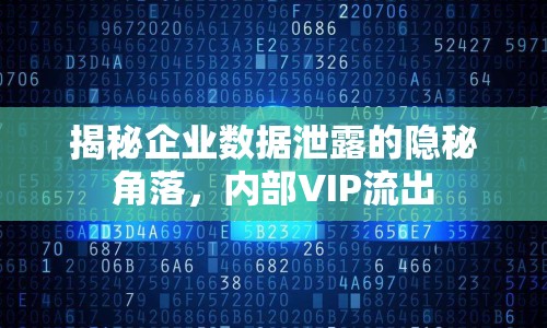 揭秘企業(yè)數(shù)據(jù)泄露的隱秘角落，內(nèi)部VIP流出