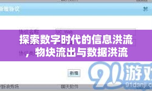 探索數(shù)字時(shí)代的信息洪流，物塊流出與數(shù)據(jù)洪流