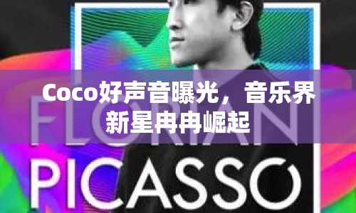 Coco好聲音曝光，音樂(lè)界新星冉冉崛起