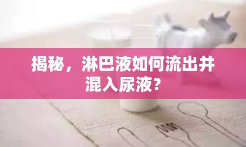 揭秘，淋巴液如何流出并混入尿液？