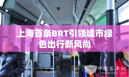 上海首條BRT引領城市綠色出行新風尚