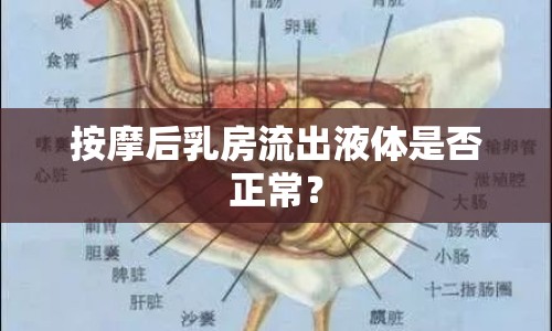 按摩后乳房流出液體是否正常？