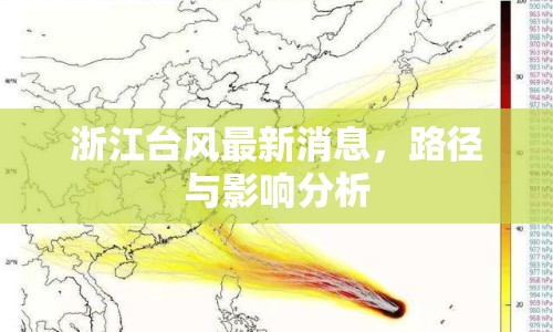 浙江臺(tái)風(fēng)最新消息，路徑與影響分析