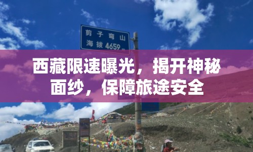 西藏限速曝光，揭開神秘面紗，保障旅途安全