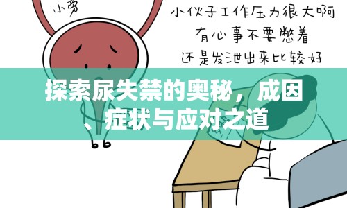 探索尿失禁的奧秘，成因、癥狀與應對之道