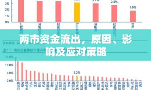 兩市資金流出，原因、影響及應(yīng)對策略