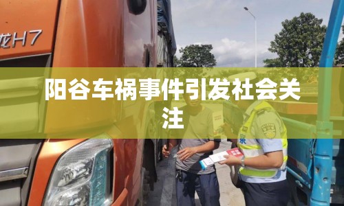 陽谷車禍事件引發(fā)社會關注