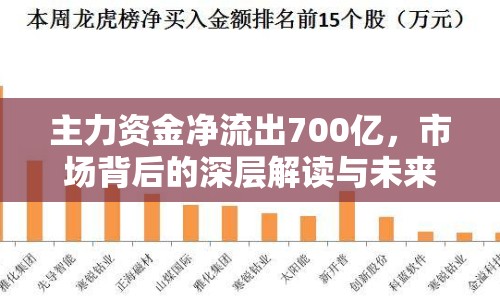 主力資金凈流出700億，市場背后的深層解讀與未來展望