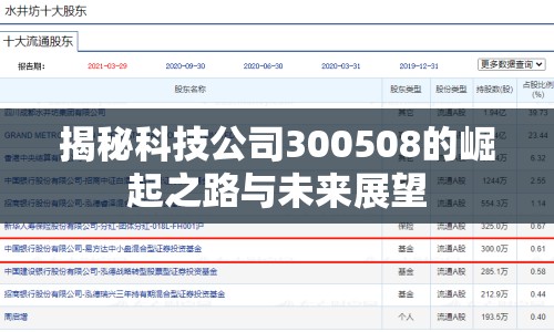 揭秘科技公司300508的崛起之路與未來(lái)展望