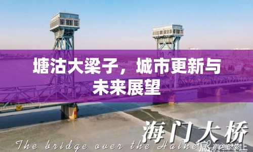 塘沽大梁子，城市更新與未來展望