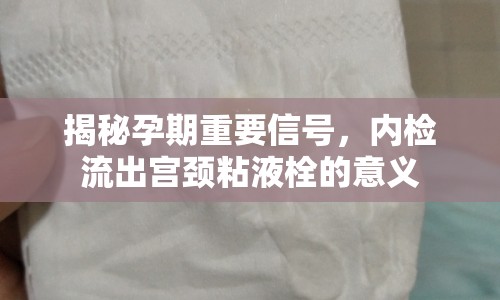 揭秘孕期重要信號(hào)，內(nèi)檢流出宮頸粘液栓的意義