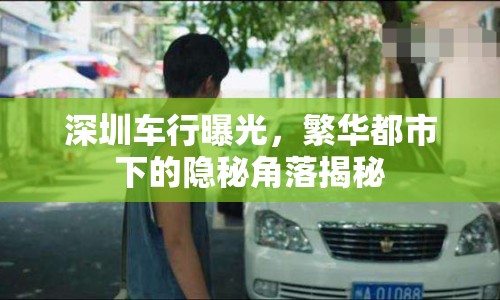 深圳車行曝光，繁華都市下的隱秘角落揭秘