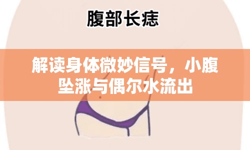 解讀身體微妙信號，小腹墜漲與偶爾水流出