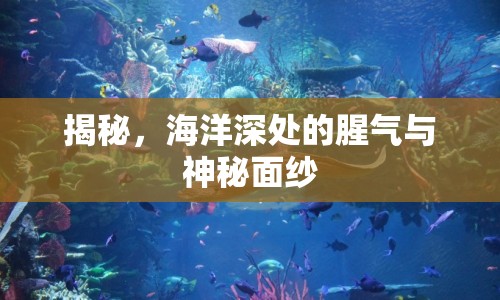 揭秘，海洋深處的腥氣與神秘面紗