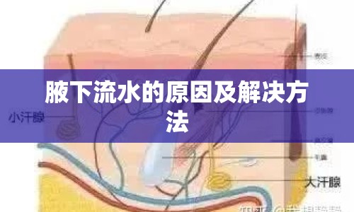 腋下流水的原因及解決方法