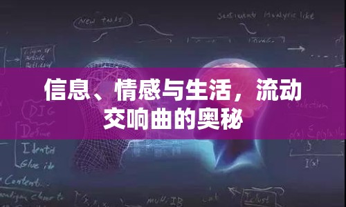 信息、情感與生活，流動(dòng)交響曲的奧秘