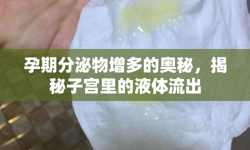 孕期分泌物增多的奧秘，揭秘子宮里的液體流出