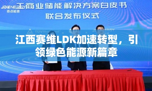 江西賽維LDK加速轉(zhuǎn)型，引領(lǐng)綠色能源新篇章