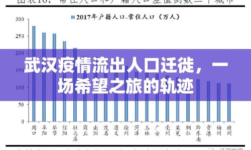 武漢疫情流出人口遷徙，一場希望之旅的軌跡