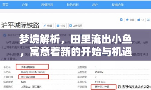 夢(mèng)境解析，田里流出小魚(yú)，寓意著新的開(kāi)始與機(jī)遇