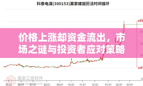 價格上漲卻資金流出，市場之謎與投資者應(yīng)對策略