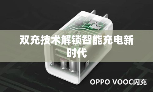 雙充技術(shù)解鎖智能充電新時代