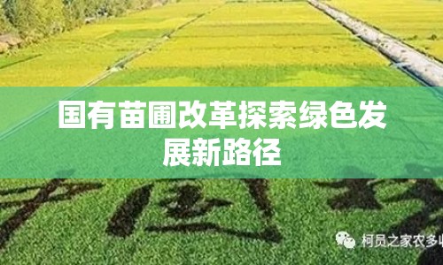 國有苗圃改革探索綠色發(fā)展新路徑