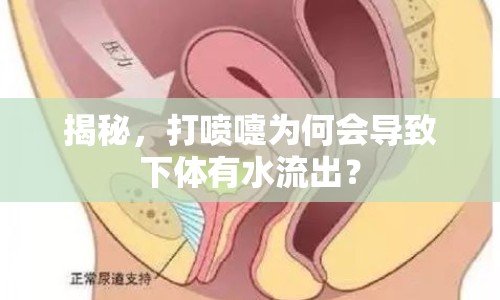 揭秘，打噴嚏為何會導(dǎo)致下體有水流出？