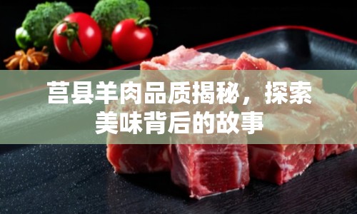 莒縣羊肉品質(zhì)揭秘，探索美味背后的故事