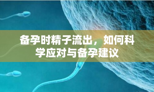 備孕時精子流出，如何科學(xué)應(yīng)對與備孕建議