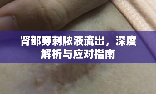 腎部穿刺膿液流出，深度解析與應(yīng)對指南