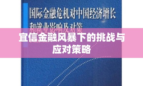 宜信金融風暴下的挑戰(zhàn)與應對策略