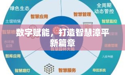 數(shù)字賦能，打造智慧漳平新篇章