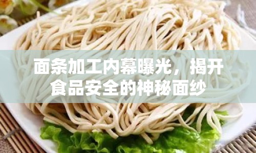 面條加工內(nèi)幕曝光，揭開食品安全的神秘面紗