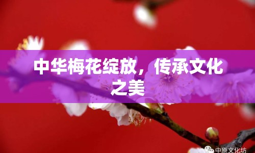 中華梅花綻放，傳承文化之美