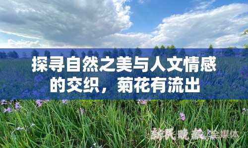 探尋自然之美與人文情感的交織，菊花有流出