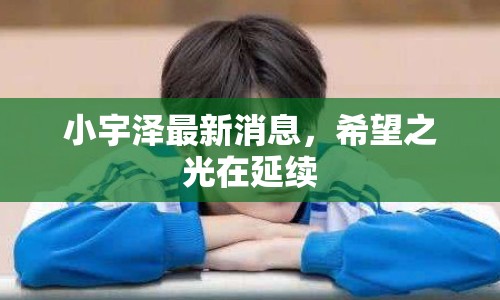 小宇澤最新消息，希望之光在延續(xù)