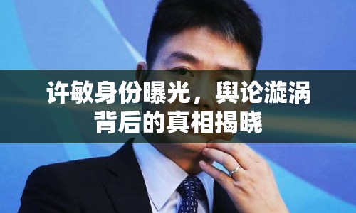 許敏身份曝光，輿論漩渦背后的真相揭曉