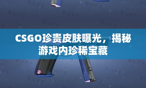 CSGO珍貴皮膚曝光，揭秘游戲內(nèi)珍稀寶藏