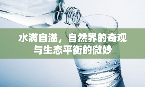 水滿自溢，自然界的奇觀與生態(tài)平衡的微妙