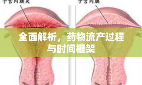 全面解析，藥物流產過程與時間框架