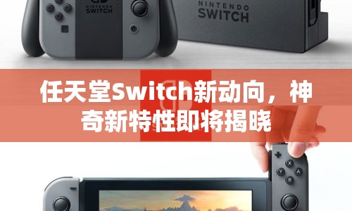 任天堂Switch新動向，神奇新特性即將揭曉