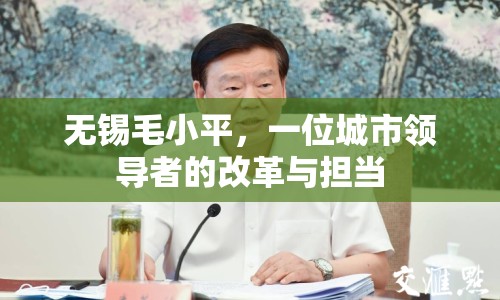 無錫毛小平，一位城市領(lǐng)導(dǎo)者的改革與擔(dān)當(dāng)