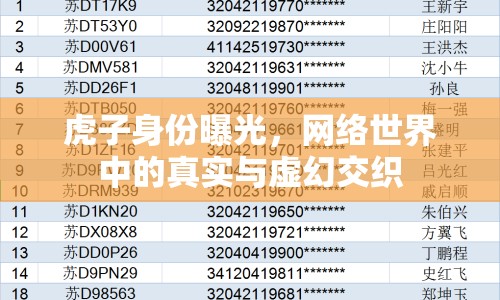 虎子身份曝光，網(wǎng)絡(luò)世界中的真實(shí)與虛幻交織