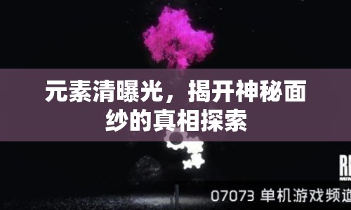 元素清曝光，揭開神秘面紗的真相探索