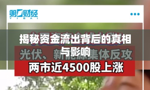 揭秘資金流出背后的真相與影響