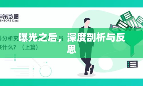 曝光之后，深度剖析與反思