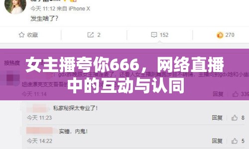 女主播夸你666，網(wǎng)絡直播中的互動與認同