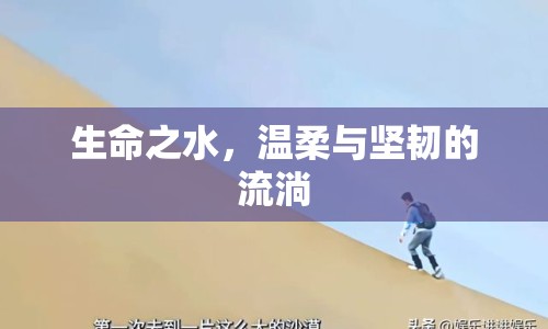 生命之水，溫柔與堅韌的流淌