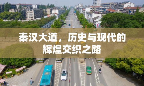 秦漢大道，歷史與現代的輝煌交織之路